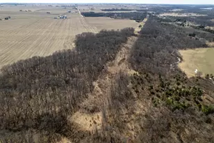 0 Holly Rd, Fulton, IL 61252 - Photo 46