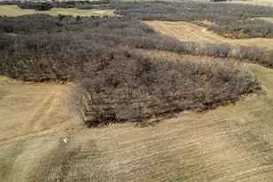 0 Holly Rd, Fulton, IL 61252 - Photo 22