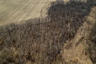 0 Holly Rd, Fulton, IL 61252 - Photo 52