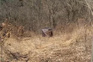 0 Holly Rd, Fulton, IL 61252 - Photo 24