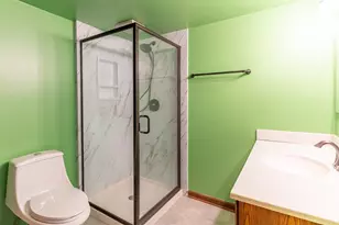 151 N Fox Run Ln, Byron, IL 61010 - Photo 28