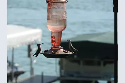 1396 Pier Drive, Davis, IL 61019 - Photo 42