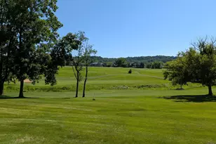 27 Spring Creek Ln, Galena, IL 61036 - Photo 38