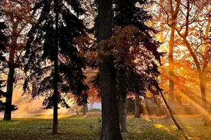 6127 Oak Dr, Byron, IL 61010 - Photo 32