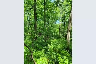 14 Cinnamon Drive, Galena, IL 61036 - Photo 14
