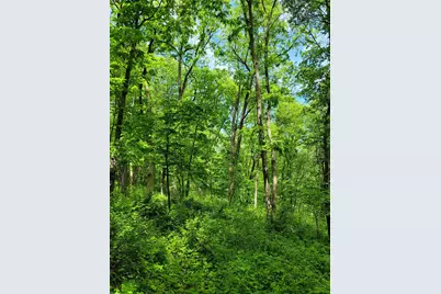 14 Cinnamon Drive, Galena, IL 61036 - Photo 8