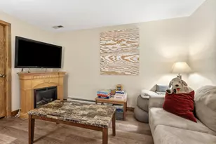 127 Plum Cove Dr, Galena, IL 61036 - Photo 26