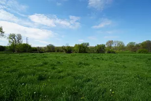 201 S Jackson, Hanover, IL 61041 - Photo 40