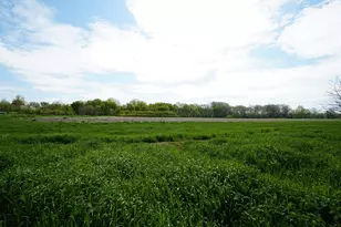 201 S Jackson, Hanover, IL 61041 - Photo 38
