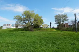 201 S Jackson, Hanover, IL 61041 - Photo 36