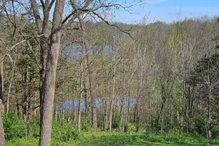 108 Walnut Hill Dr, Galena, IL 61036 - Photo 10