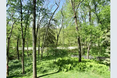 13 Heatherdowns, Galena, IL 61036 - Photo 50