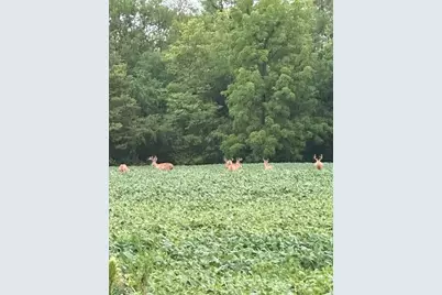 88Xx Yale Bridge Road, Rockton, IL 61072 - Photo 10