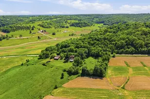 2181 S Irish Hollow Rd, Galena, IL 61036 - Photo 6