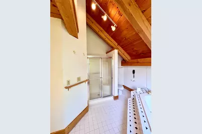 821 Bernal Court, Spring Valley, IL 61362 - Photo 52