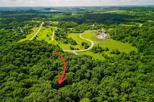 3 Lost Ridge Ln, Galena, IL 61036 - Photo 28