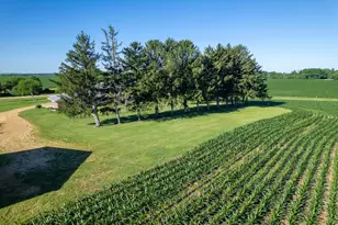 30319 Brookville A&b Rd, Lanark, IL 61046 - Photo 84