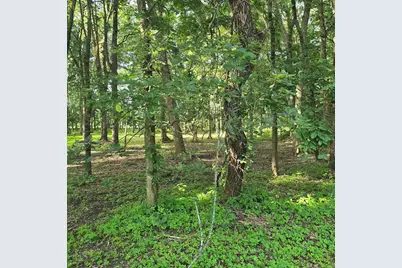 000 Orchid Lane, Oregon, IL 61061 - Photo 10