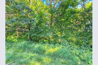 16-31 & 16-32 Elmhurst Court, Lake Carroll, IL 61046 - Photo 2