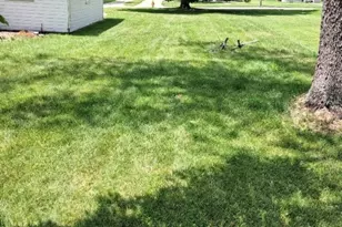 811 S Burchard Ave, Freeport, IL 61032 - Photo 6