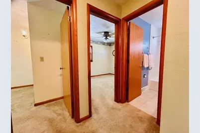 422 E 8th Street, Belvidere, IL 61008 - Photo 18