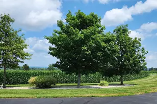11056 Center Rd, Durand, IL 61024 - Photo 16