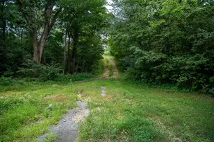 916 W Town Line Rd, Leaf River, IL 61047 - Photo 46
