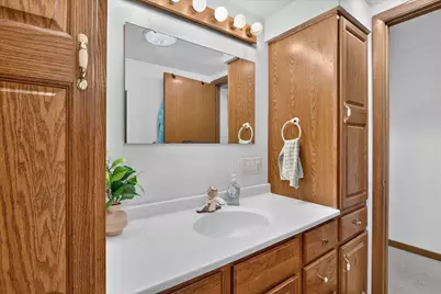 310 Mill Street, Cedarville, IL 61013 - Photo 26