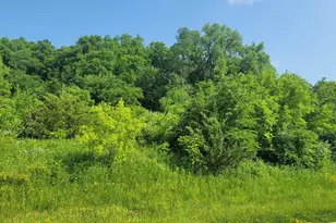 9 Sugarcreek Trail, Galena, IL 61036 - Photo 1