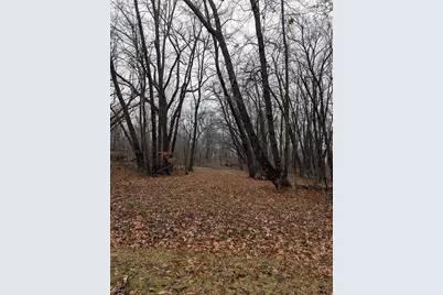 439 Lockwood, Davis, IL 61019 - Photo 1