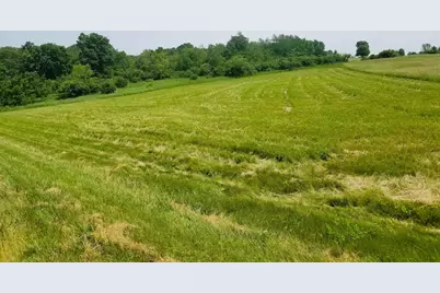 24-47 Carriage Hill Court, Lake Carroll, IL 61046 - Photo 1