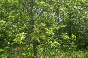 3 Orchard Ln, Galena, IL 61036 - Photo 1