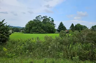 3 Butternut Ln, Galena, IL 61036 - Photo 1