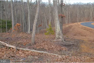 Comforter Lane, Middletown, VA 22645 - Photo 4