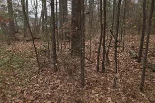 17 Evergreen Dr, Colonial Beach, VA 22443 - Photo 1