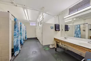 443 Meadow View Ln, Fort Valley, VA 22652 - Photo 56