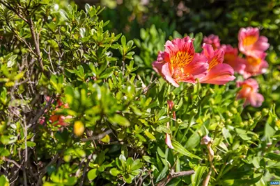 137 Diamond Ct, Harrisonburg, VA 22801 - Photo 54