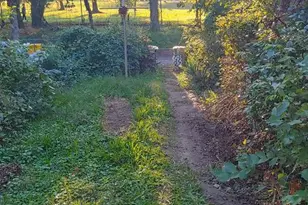 5300 Brookwood Rd, Brooklyn, MD 21225 - Photo 24