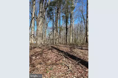 612 Traveller Court, Lothian, MD 20711 - Photo 2