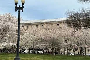 612 Traveller Ct, Lothian, MD 20711 - Photo 4