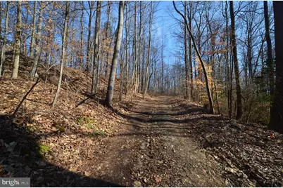 1013 Waterbury Heights Drive, Crownsville, MD 21032 - Photo 12