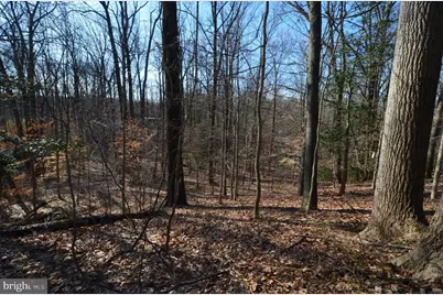 1013 Waterbury Heights Drive, Crownsville, MD 21032 - Photo 10