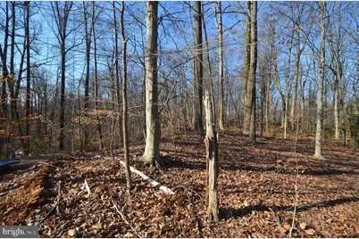 1013 Waterbury Heights Drive, Crownsville, MD 21032 - Photo 2