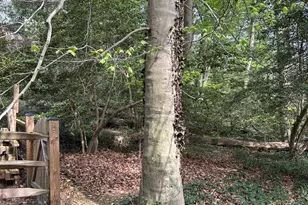 Redwood Trail, Crownsville, MD 21032 - Photo 1