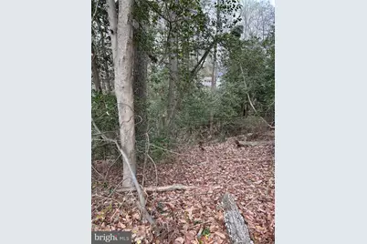 Beech Trail, Crownsville, MD 21032 - Photo 4