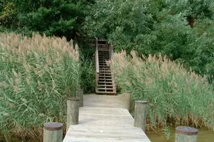 27 Old South River Rd, Edgewater, MD 21037 - Photo 20