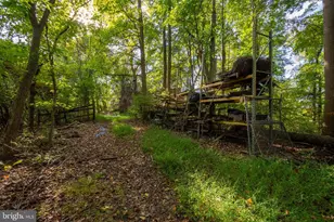 5292 Moreland Rd, Lothian, MD 20711 - Photo 44