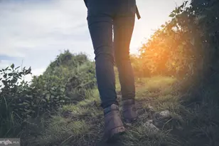 1314 Bracken Ln, Laurel, MD 20724 - Photo 40