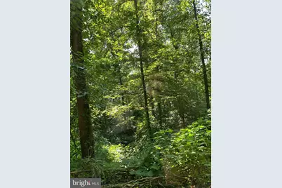 Yew Trail, Crownsville, MD 21032 - Photo 1