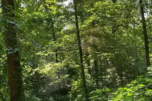 Yew Trail, Crownsville, MD 21032 - Photo 1